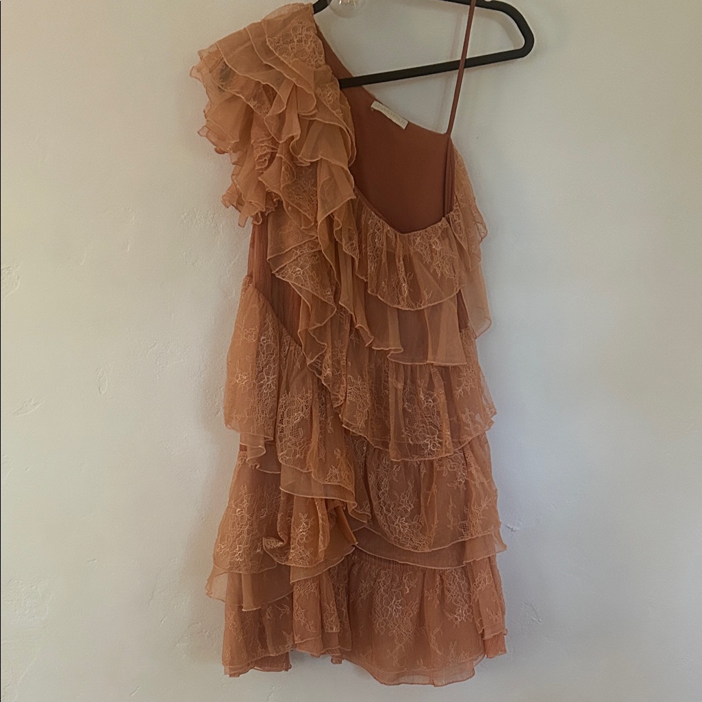 Ulla Johnson One-Shoulder Ruffle Layered Dress - Terracotta 100% Silk